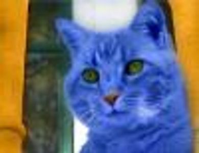Gink Profile Photo
